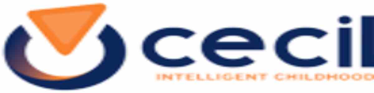 jobs and opportunities accountant at cecil Company